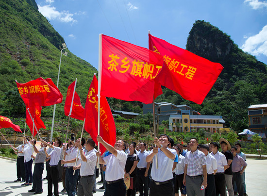 实施“茶乡旗帜工程”为乡村振兴注入新动力